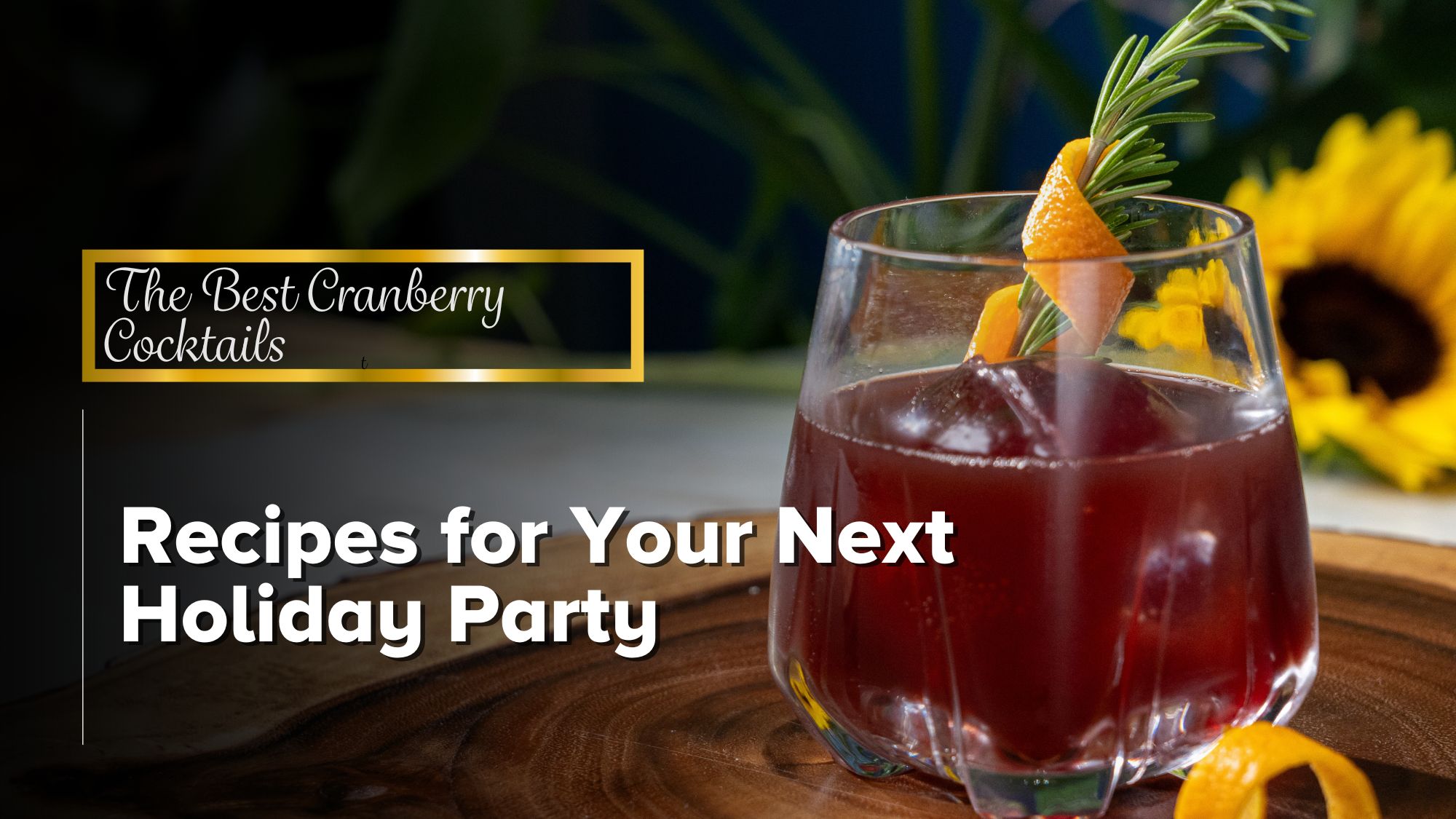 The Best Cranberry Cocktails for Your Next Holiday Party – Queen Bee ...